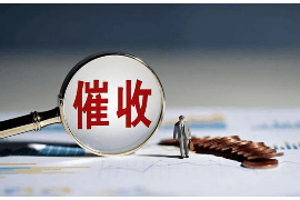 贺州贷款清欠服务